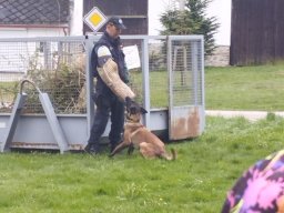 beseda s policii58